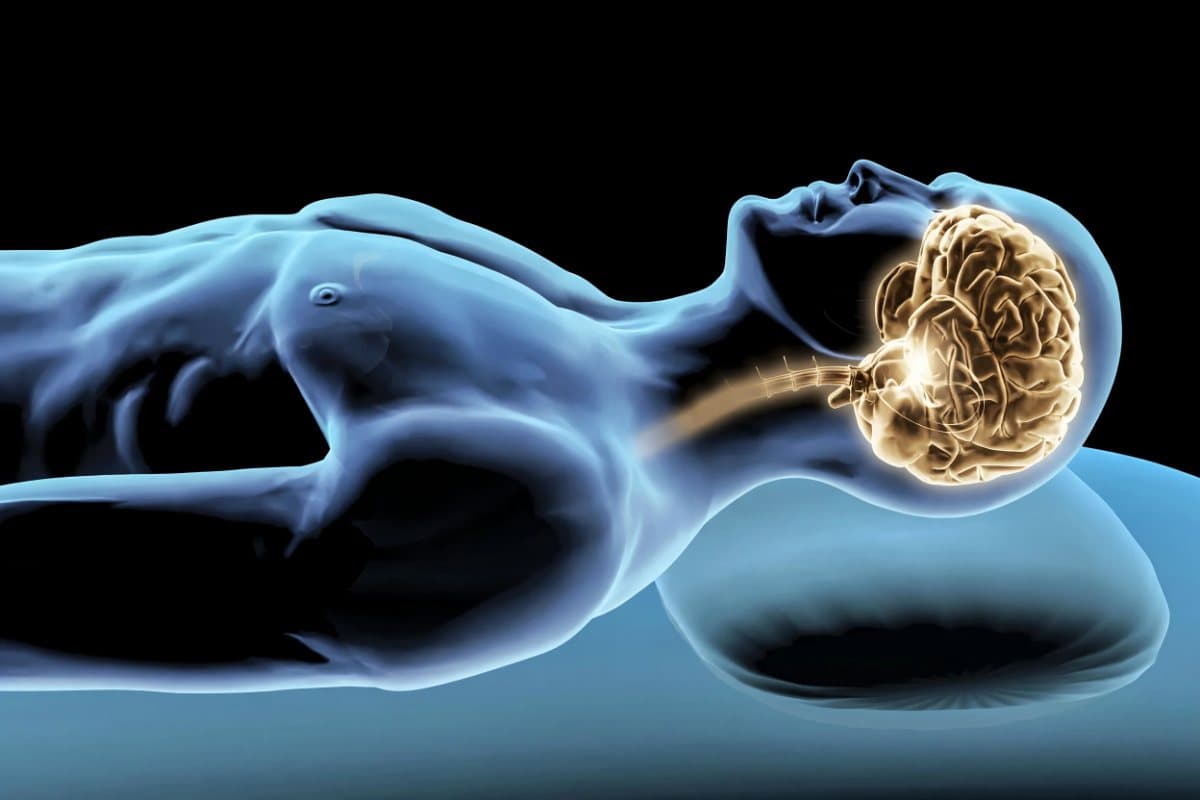 X-ray style illustration of a sleeping person with a glowing brain